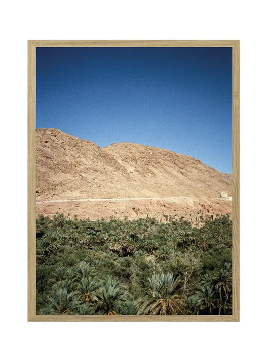 Atlas Oasis